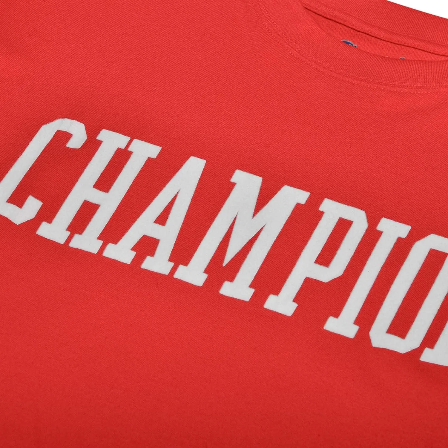 Champion Big and Tall T-Shirts for Men - Mens Short Sleeve Cotton Crewneck Tee