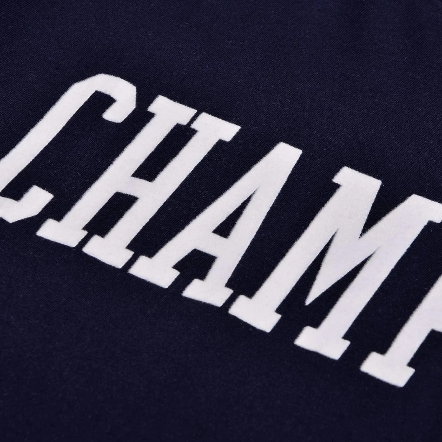 Champion Big and Tall T-Shirts for Men - Mens Short Sleeve Cotton Crewneck Tee