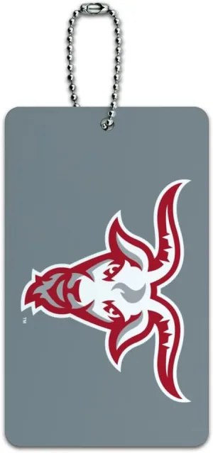 WPI Secondary Logo Luggage Card Suitcase Carry-On ID Tag